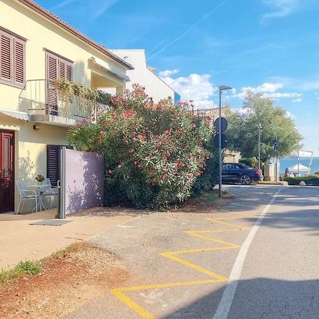 Guest House Fiore Novigrad Istria Extérieur photo