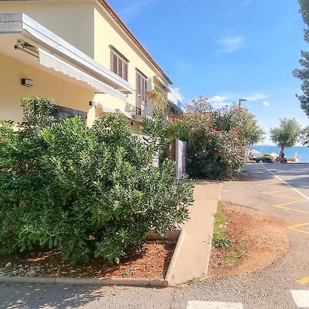 Guest House Fiore Novigrad Istria Extérieur photo